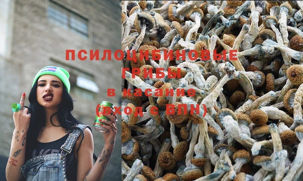 шишки Россошь