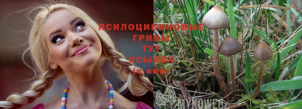 шишки Россошь