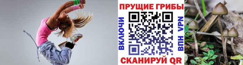 Псилоцибиновые грибы ЛСД  цена наркотик  гидра как войти  Сусуман 